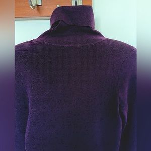 Express Metallic Turtleneck Sweater Small Purple Plum